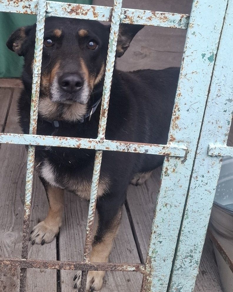 Я вроде за что-то новое, но каждый раз всегда волнительно