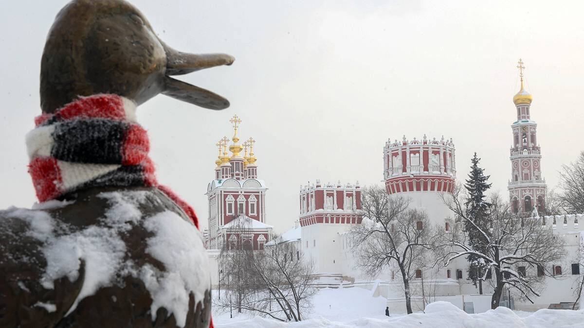    Фото: Ярослав Чингаев / АГН Москва