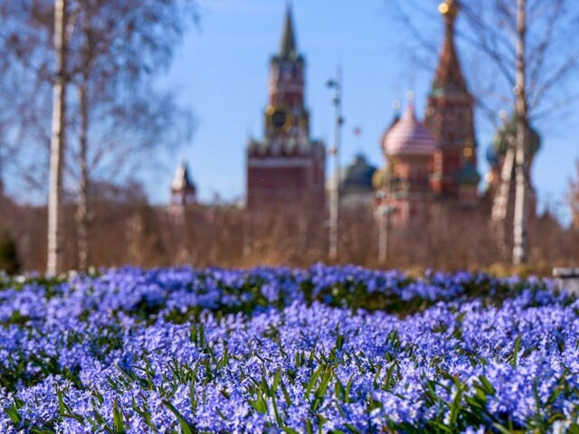    Фото: портал мэра и правительства Москвы/Евгений Самарин
