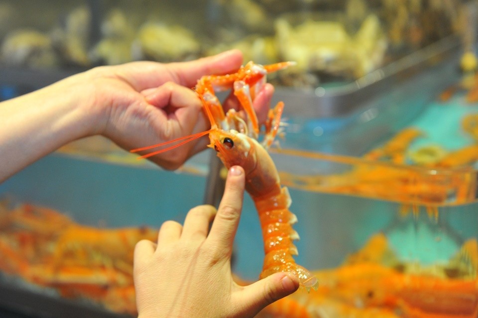    В Азовском море увеличивается вылов креветки Евгения ГУСЕВА