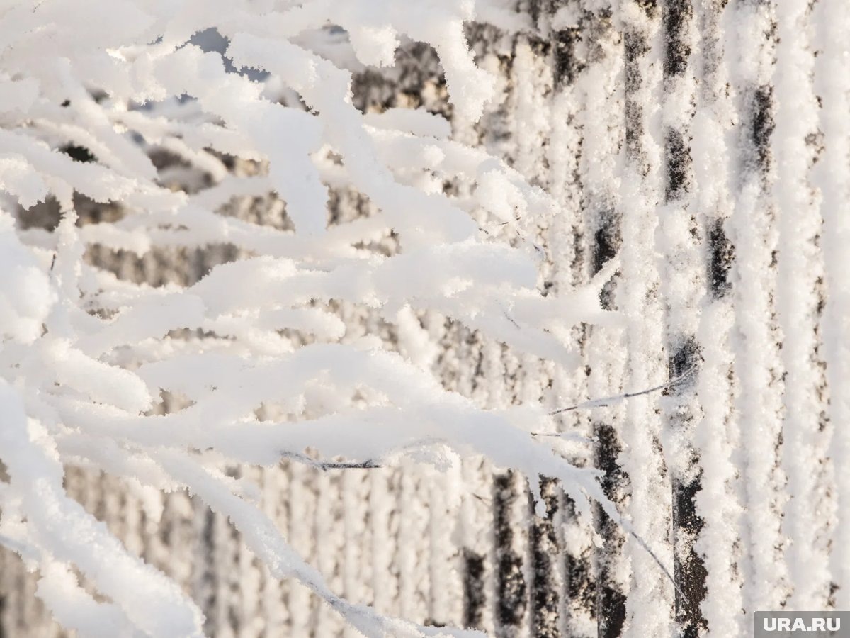     Прогноз погоды на Урале 21-28 января 2026