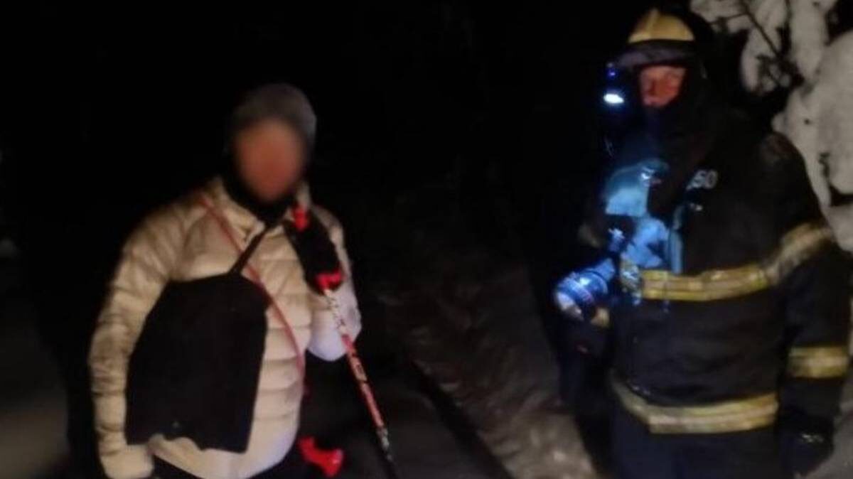    Фото: Пресс-служба ГКУ МО «Мособлпожспаса» / Telegram