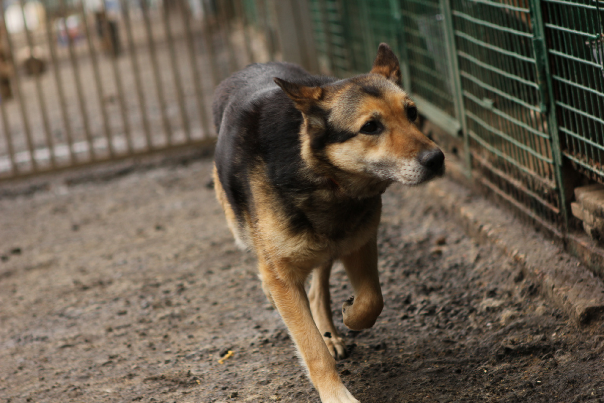 Как я могла сюда попасть, не понимаю? За что?