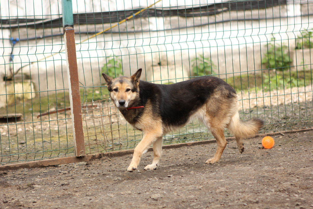 За всеми нами не уследить... Нас много