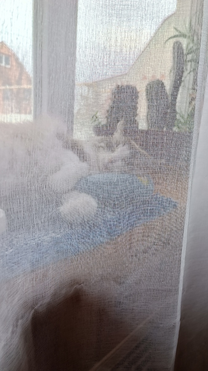 Из-за шторы подглядываю) 