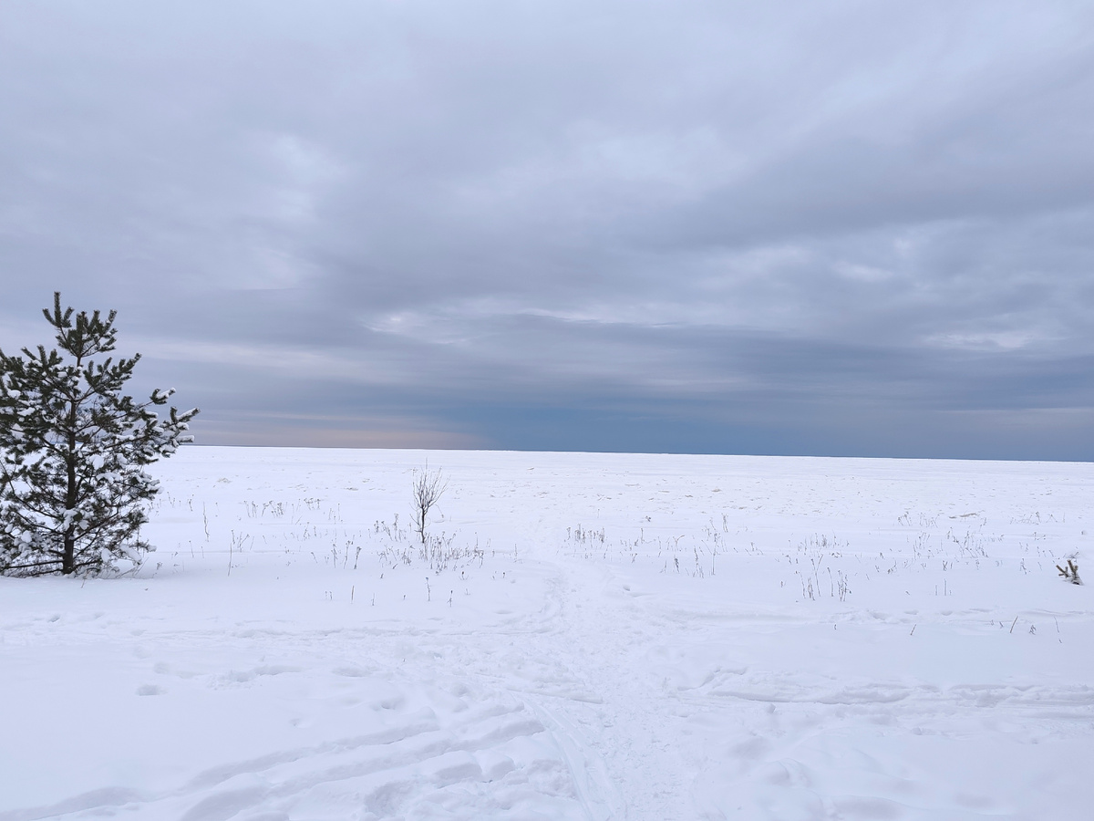 Зимой побережье выглядит так 🥶