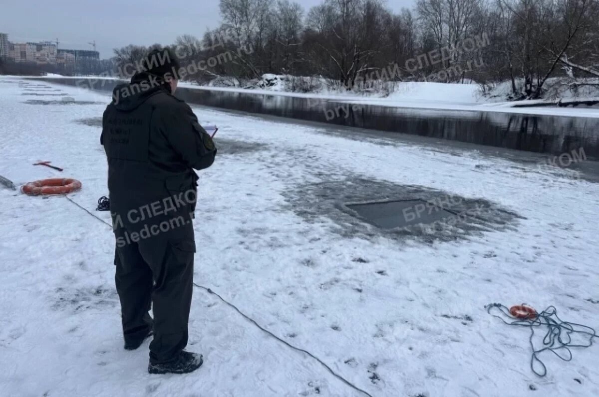    Следком возбудил уголовное дело в связи с гибелью детей в Брянске