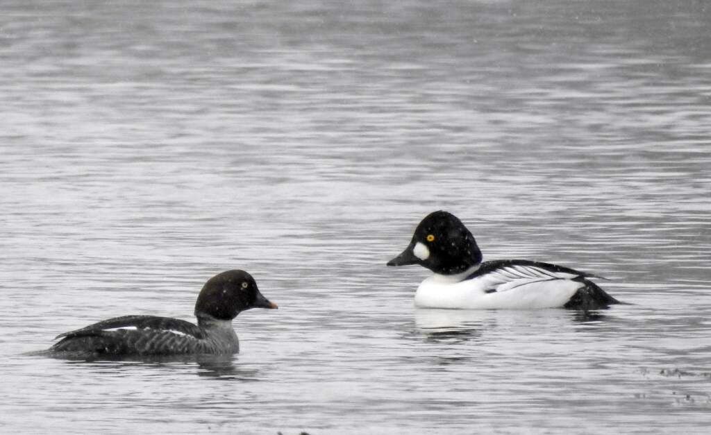    Фото: П. Кудрин