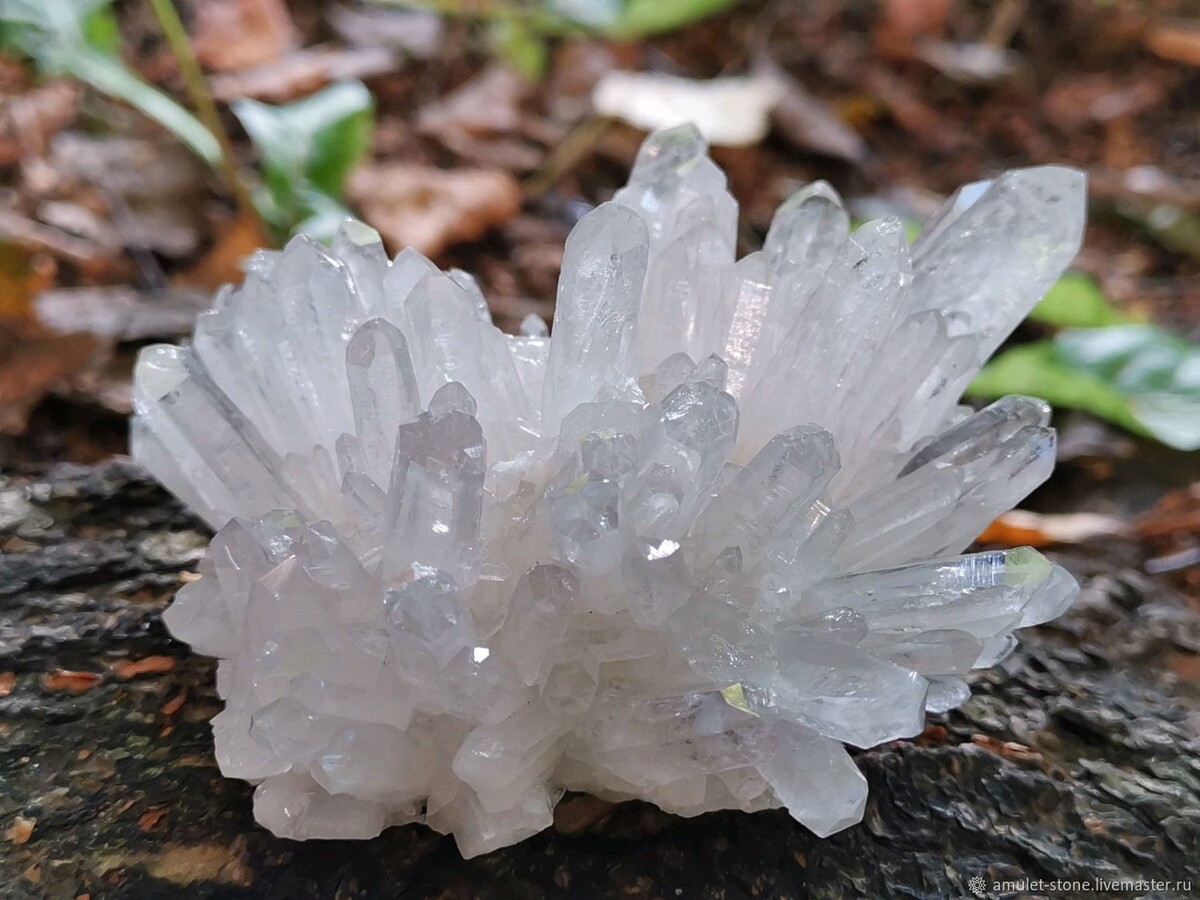 Фотография из интернета