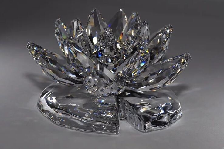 Фотография из интернета