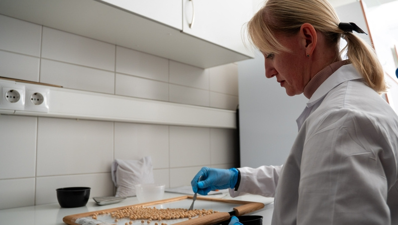      Фото: Александр Скрыпник/ / ИА «Победа26»