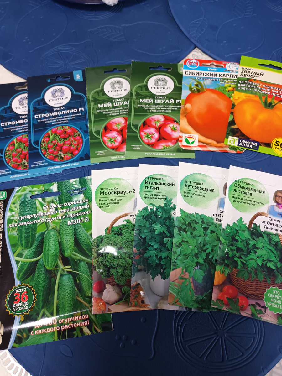 Закупилась