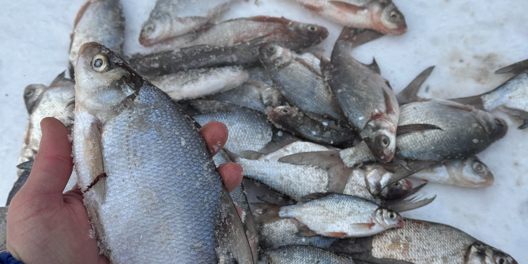 Мороз -30, а мы приехали рыбачить на лёд! Зимняя рыбалка в Ярыгино.