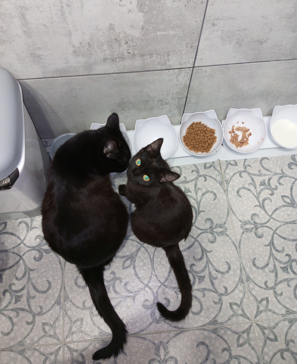 С Сонечкой.