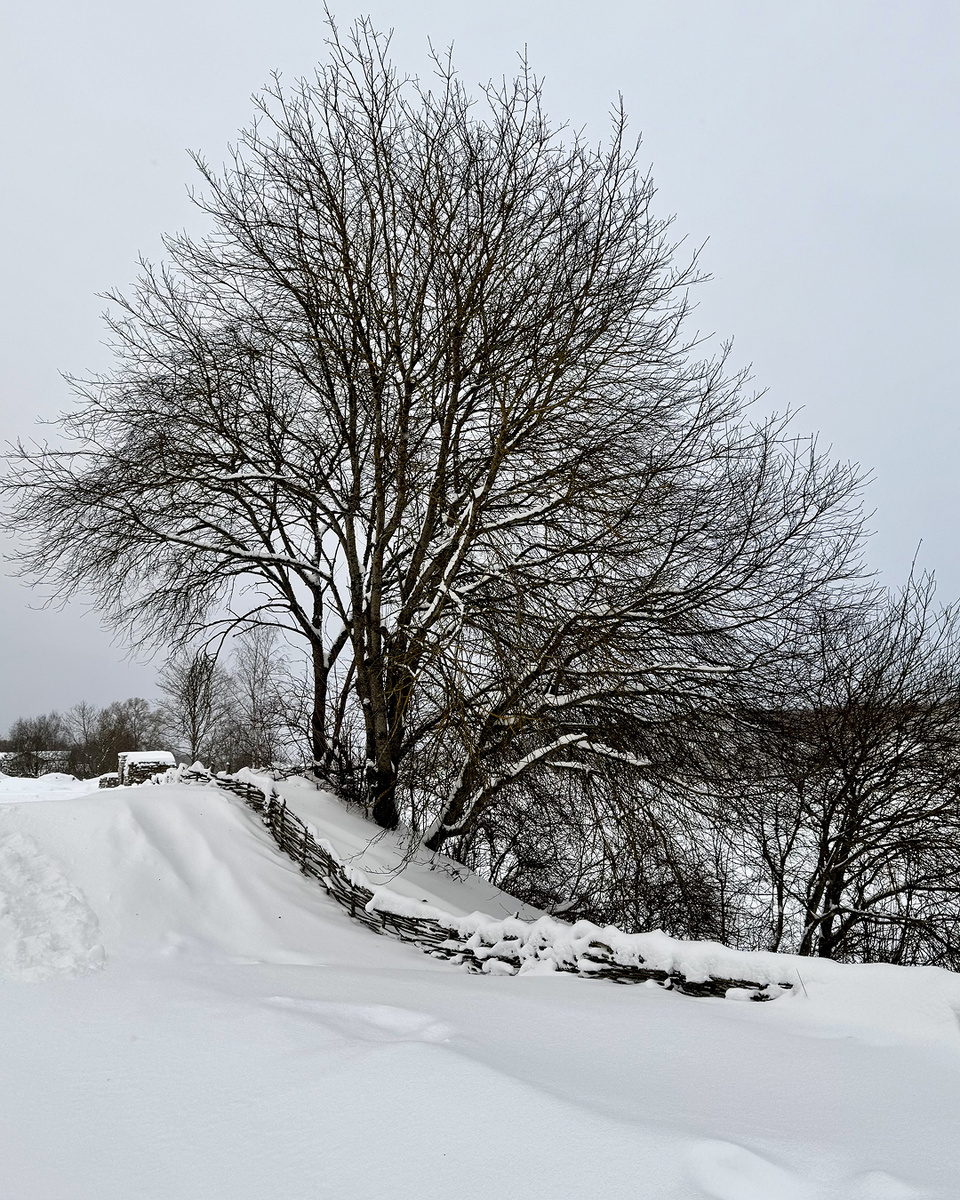 Зимняя природа вокруг крепости
