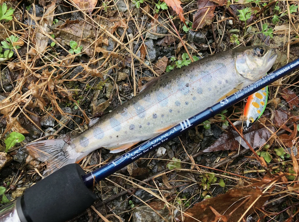 Источник Yandex Изображения: Yamaga Blanks - Blue Current 3