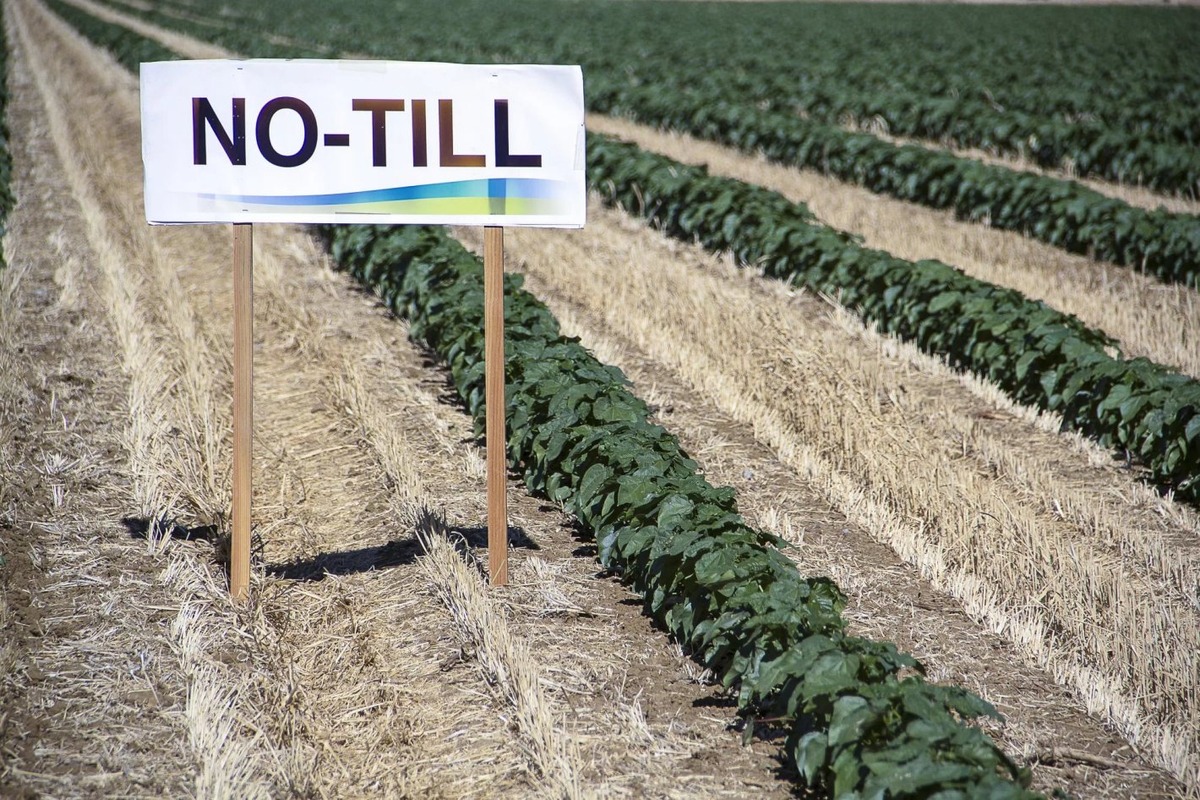 Технологии No-till (ноу-тил, «не пахать»)