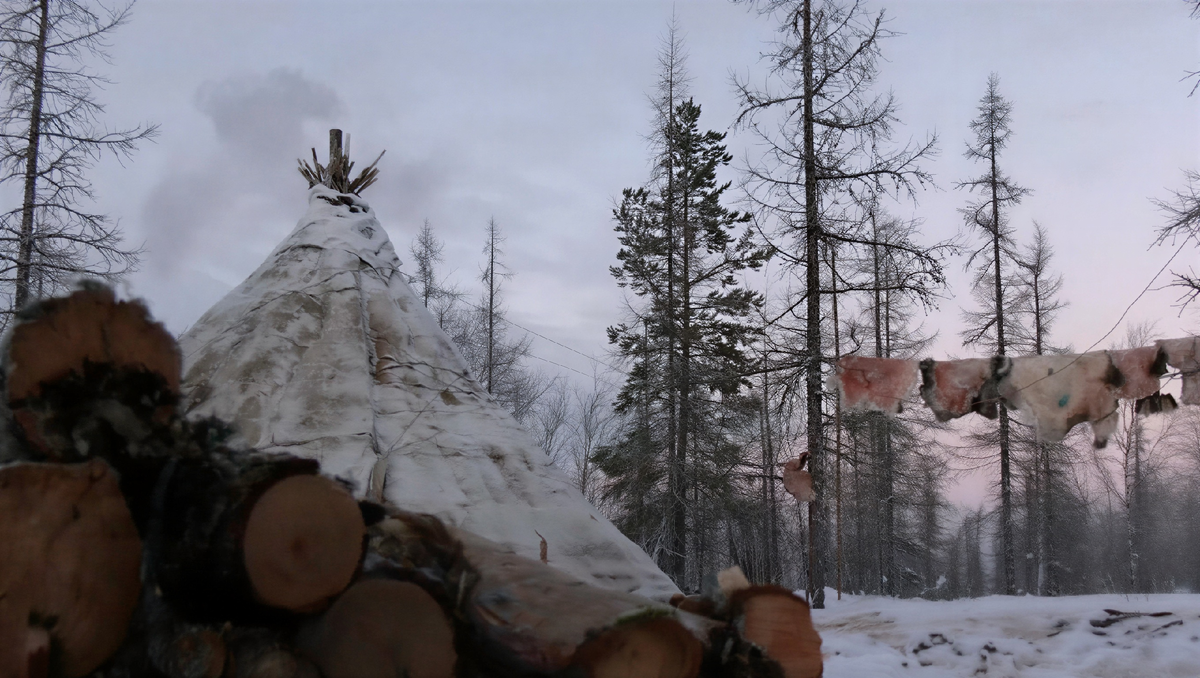 Кадр из программы «Мнение» | «В 22 года уехала жить в тундру»/ АНО «Ямал-Медиа»