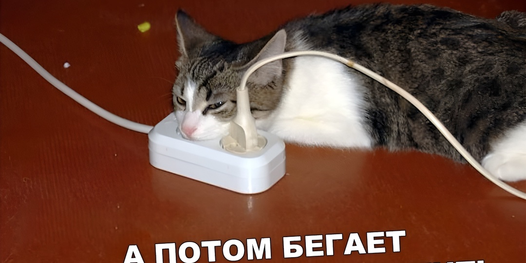 Смешные картинки с надписями для поднятия настроения: 15 фото и 5 простых способов помириться