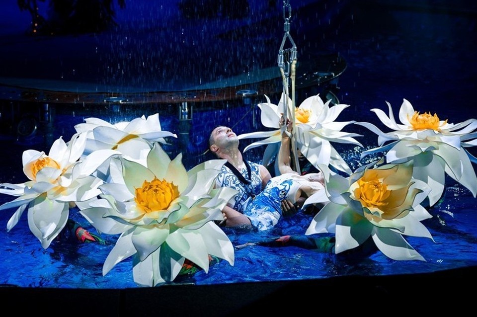    Фото: Костромской Цирк