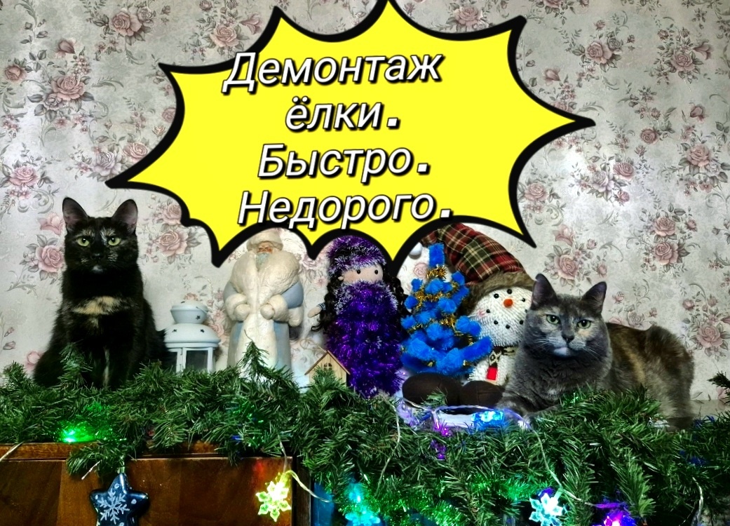 Ёлочная бригада: Лиля и Фрея