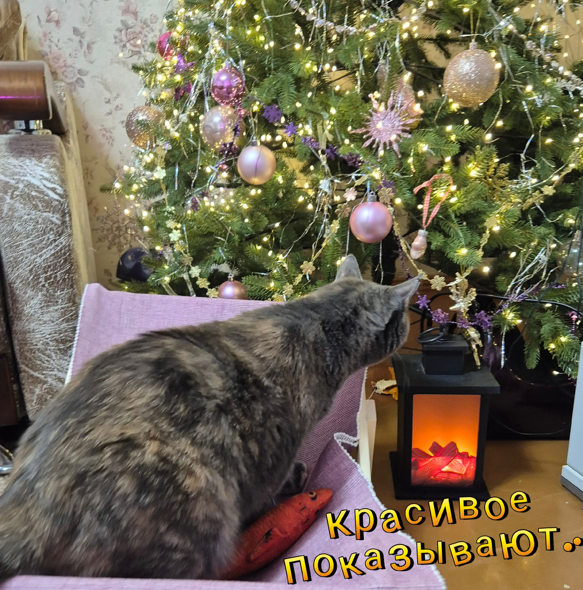 Фрея и планирование захвата.