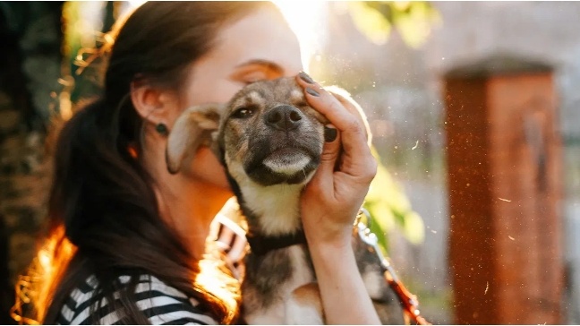 Изображение из интернета.