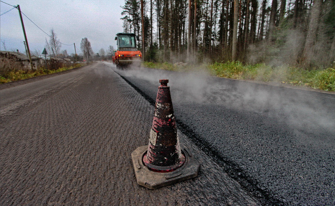   © Анастасия Илюшина / ЛенТВ24. Архивное фото