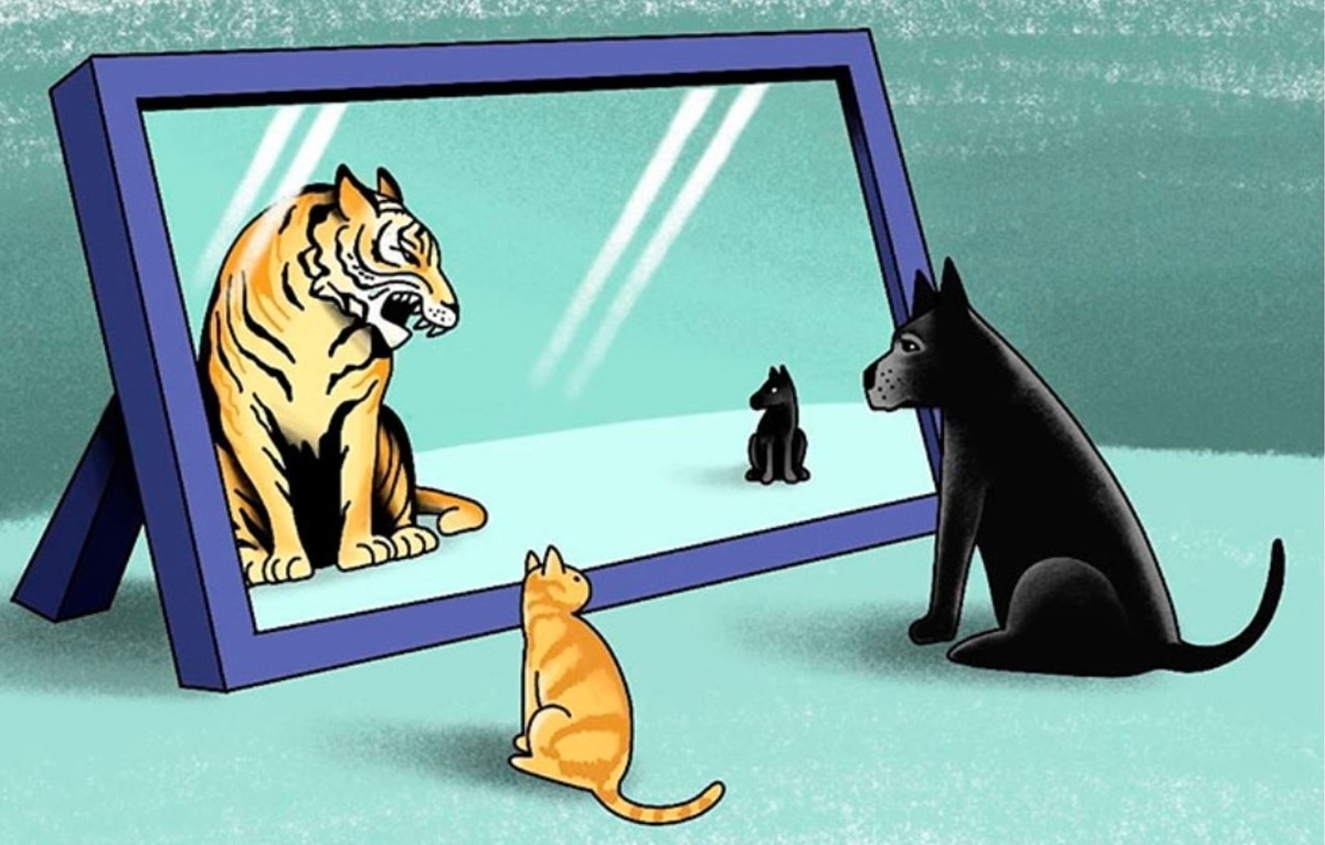 Самооценка – это не про то, кто ты. Это про то, чьими глазами ты смотришь.