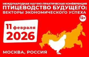 МЕЖДУНАРОДНАЯ НАУЧНО-ПРАКТИЧЕСКАЯ КОНФЕРЕНЦИЯ