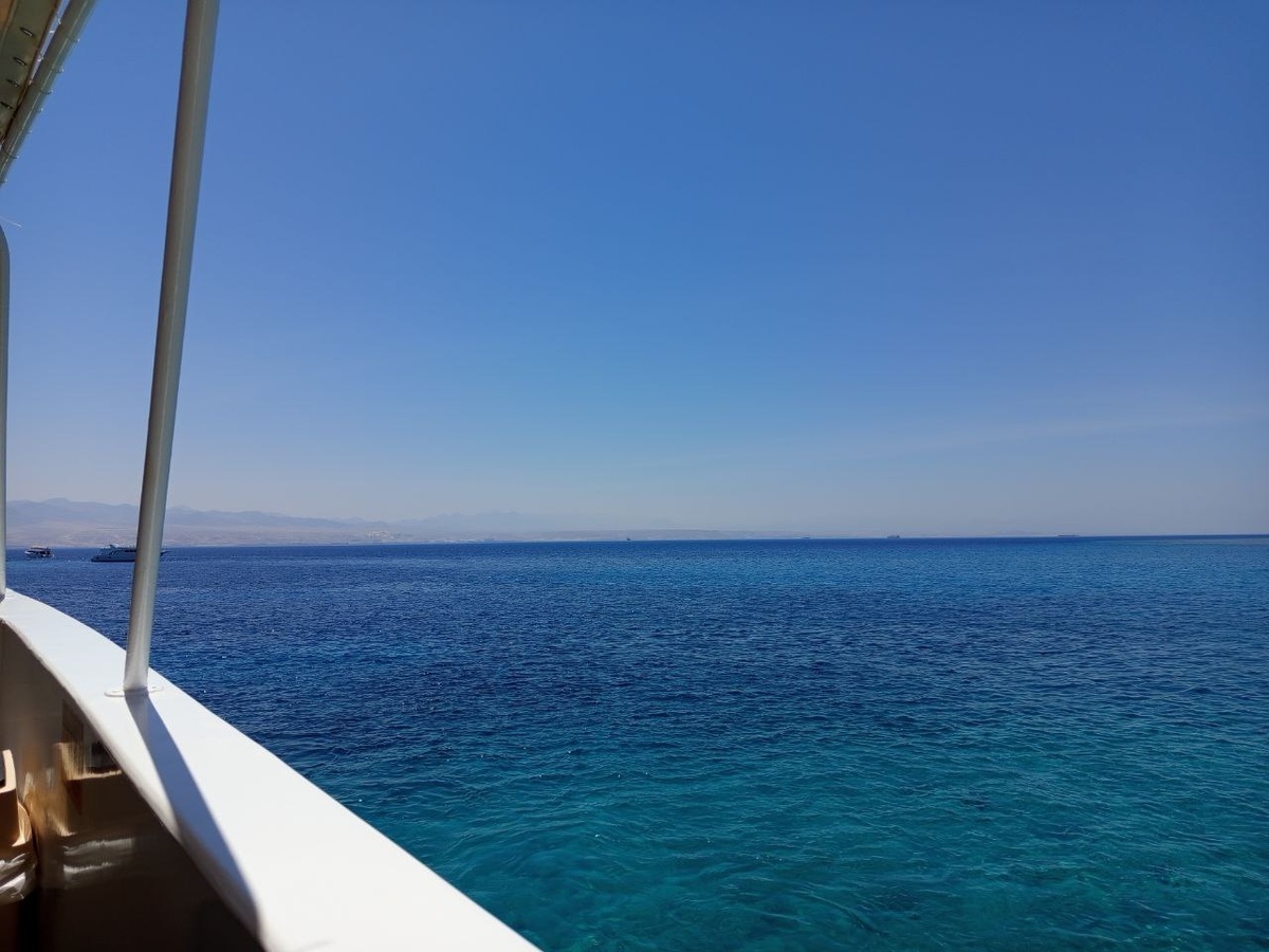 Фото: СибФМ Групп