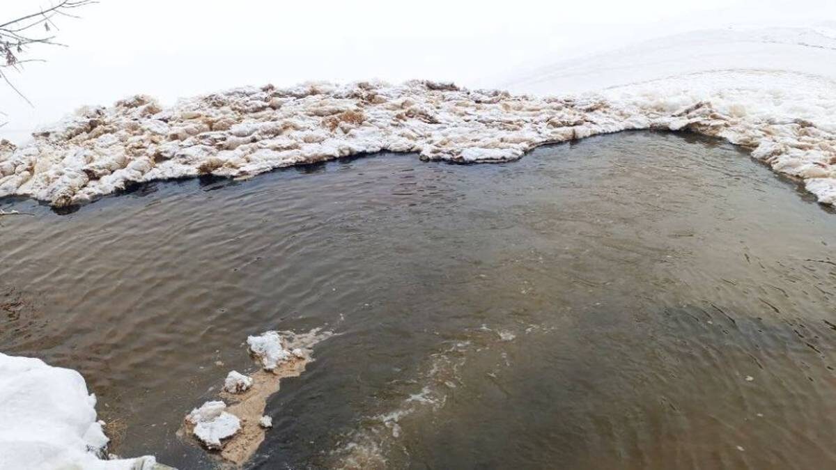    Фото: пресс-служба «Мосводостока» / Telegram