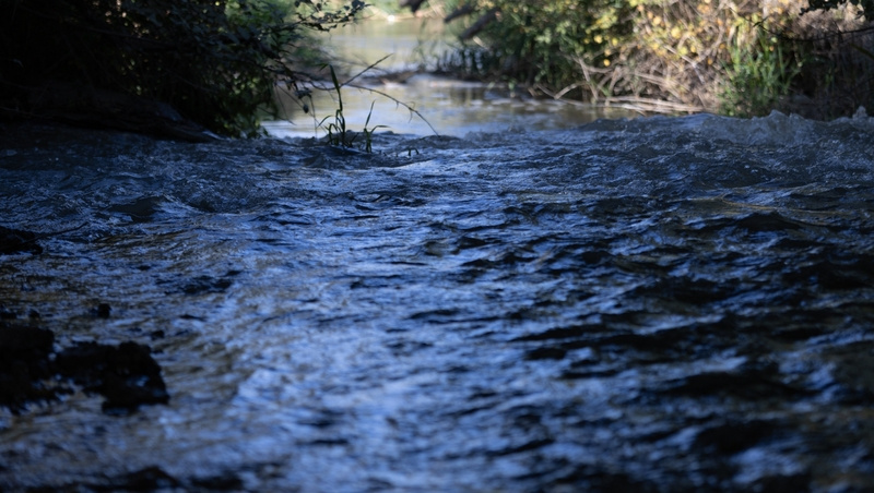      Фото: Фото: ИА «Победа26» / / ИА «Победа26»