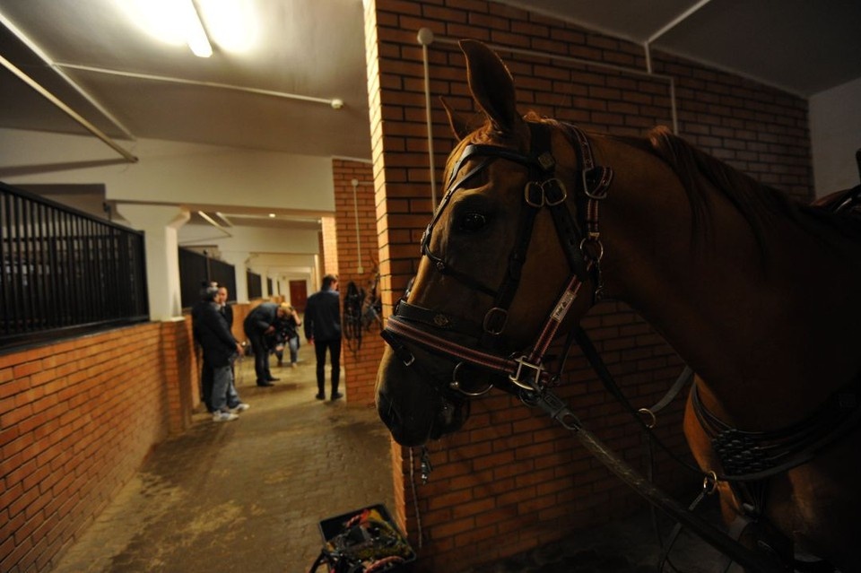    Первые занятия прошли в Барнауле Иван ВИСЛОВ