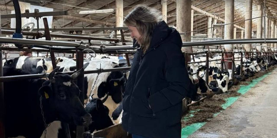 Агротуризм есть, а гранта нет: как сильные проекты застревают между министерствами