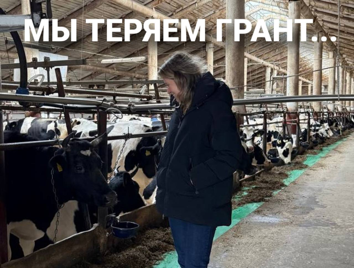 Моя страница в ВК: https://vk.com/shikinaekaterina