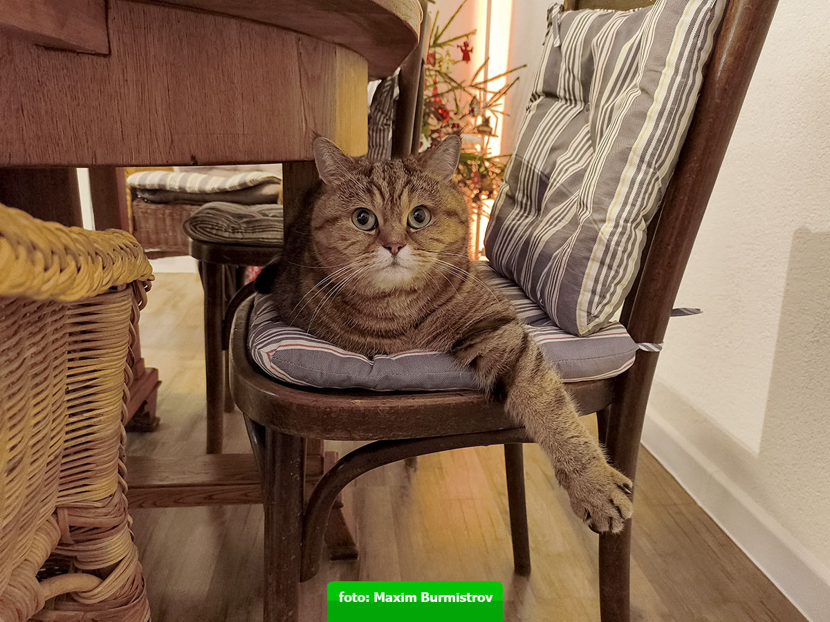 Ну что, готовы меня ублажать и холить по полной программе?