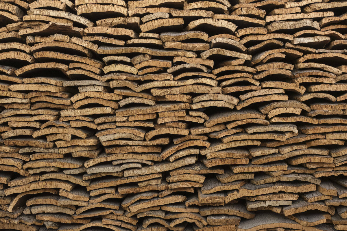    Кора пробкового дереваLegion-Media