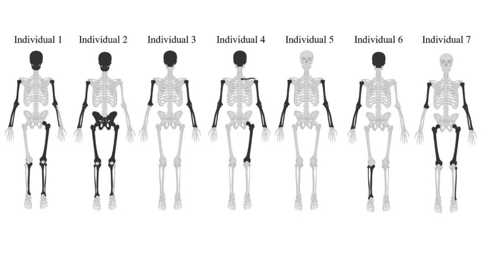   Filipa Simão et al. / Forensic Science International: Genetics, 2026