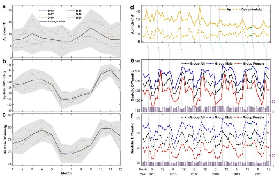    Графики изменения артериального давления и геомагнитной активности во многом совпадают.