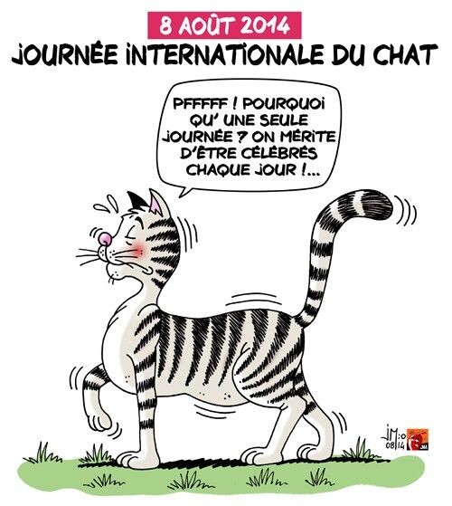 Всемирный день кошек