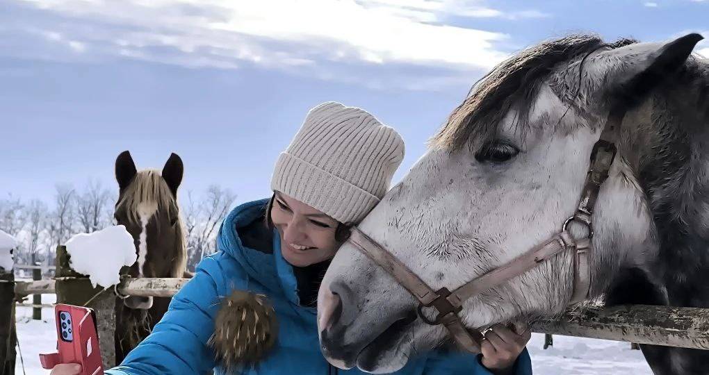 Каждый год – год Лошади