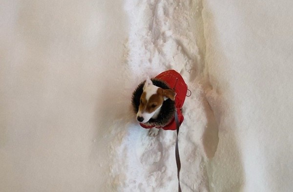 Фото: «Говорит Москва»
