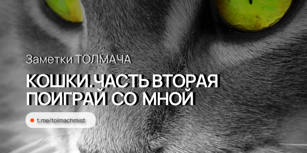 ПОИГРАЙ СО МНОЙ