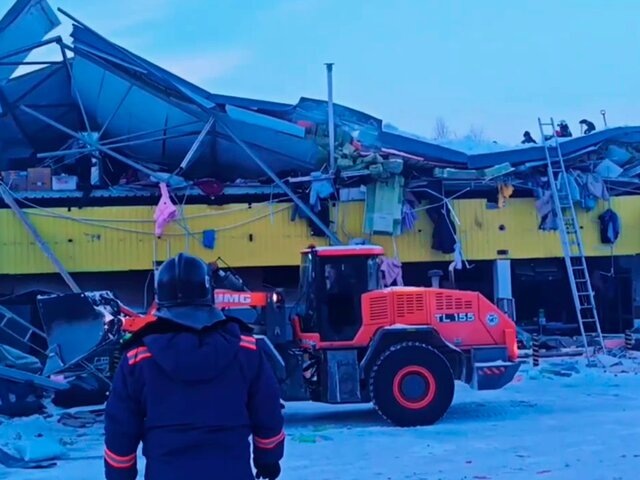    Фото: телеграм-канал "МЧС Новосибирской области"