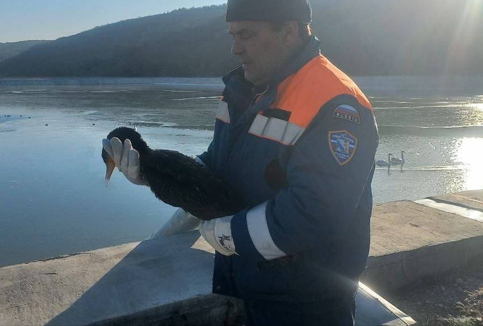    Важна каждая жизнь. Фото: телеграм-канал Михаила Развожаева