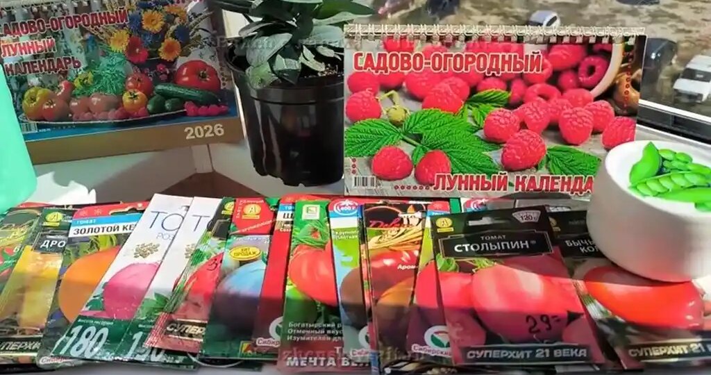 Лунный календарь на 2026: мой дачный компромисс для тех, кто сеет с оглядкой на небо