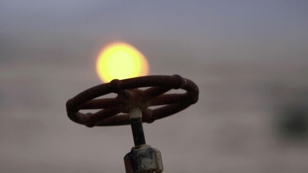    © AP / Hasan Jamali