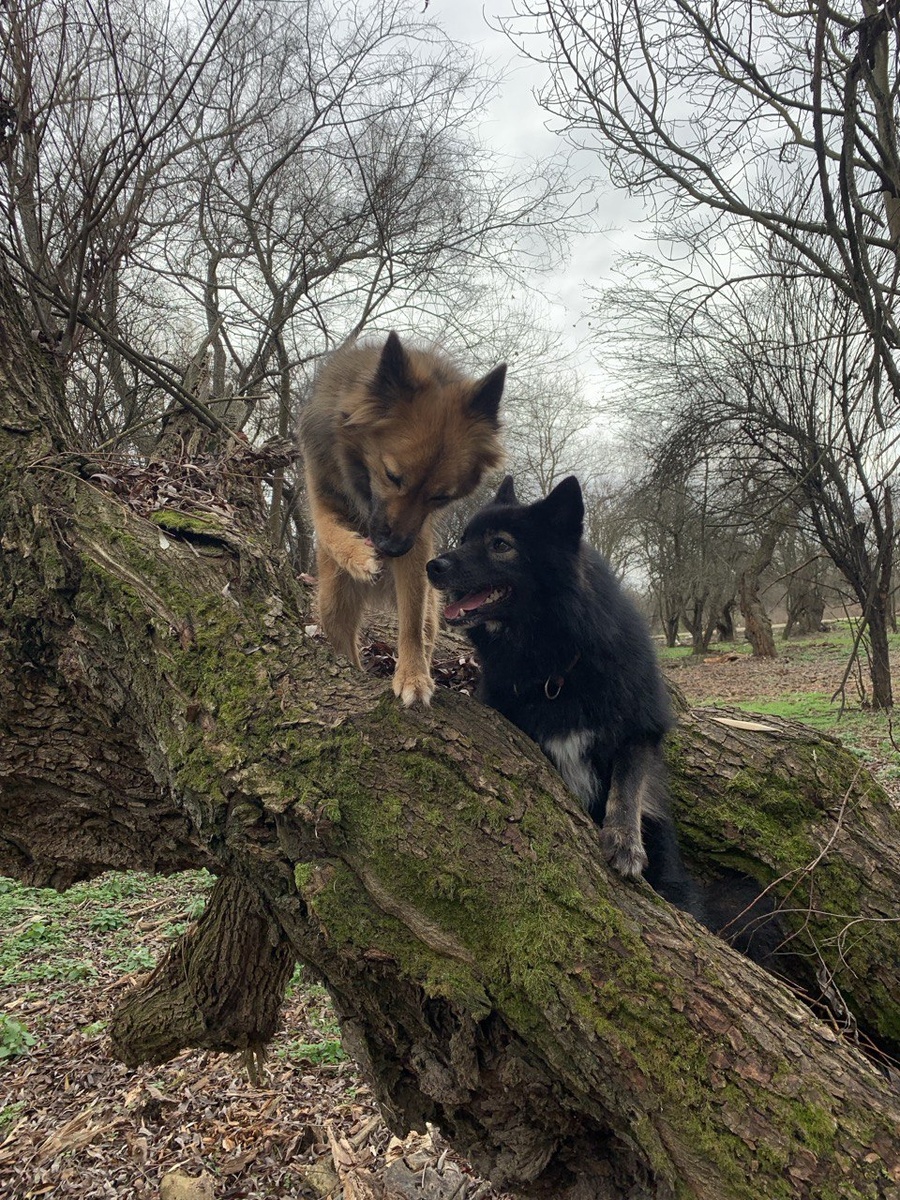 Покажи "вавку"!