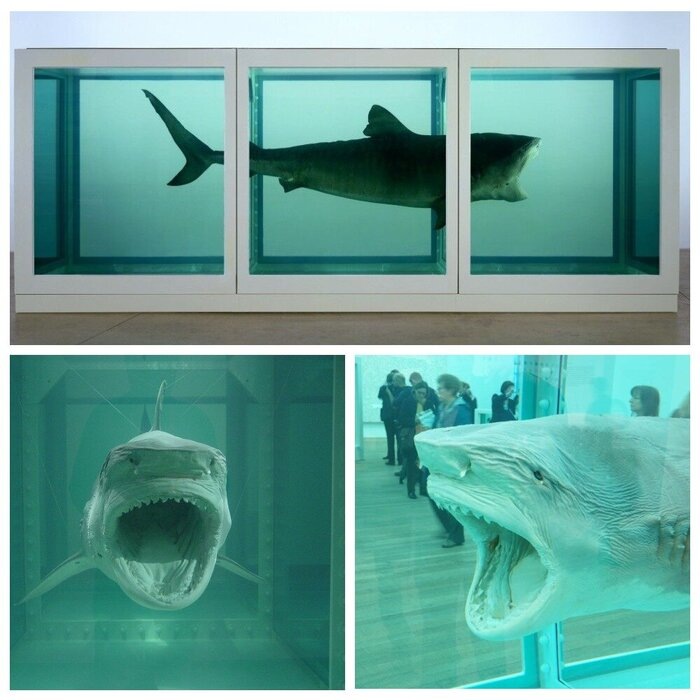 Дэмиен Херст, «Физическая невозможность смерти в сознании живущего»